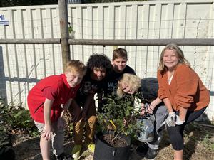 7th grade Humanities students planting tea